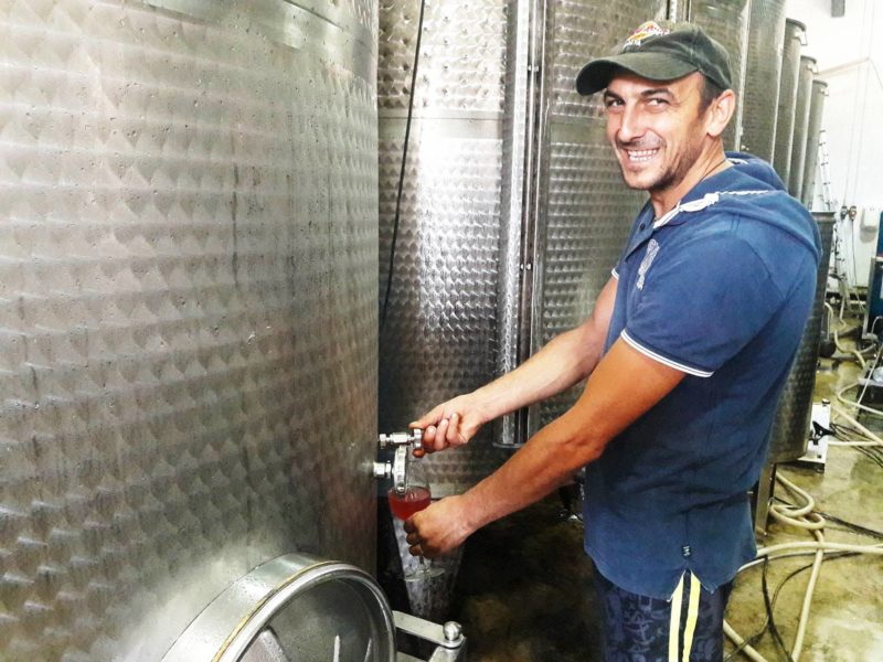 cantina ta mena estate gozo