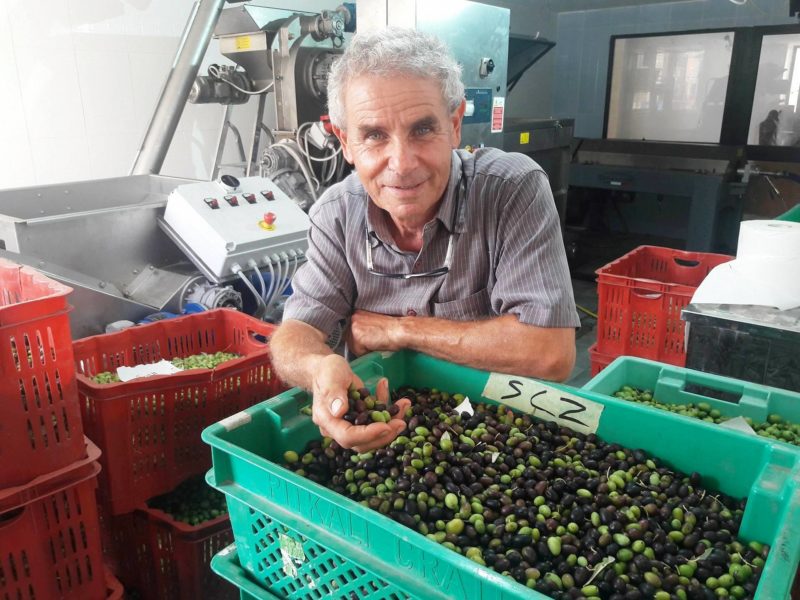 joseph spiteri ta mena estate gozo