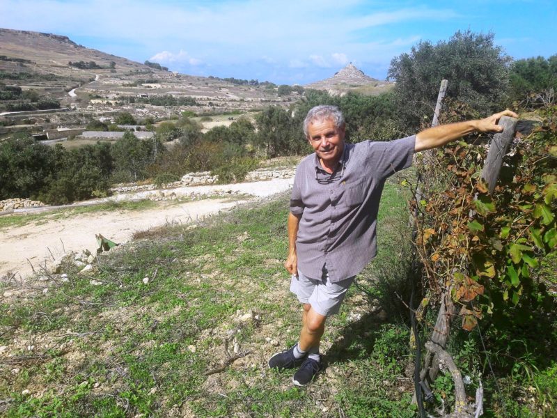 joseph spiteri ta mena estate malta vini cantine 1