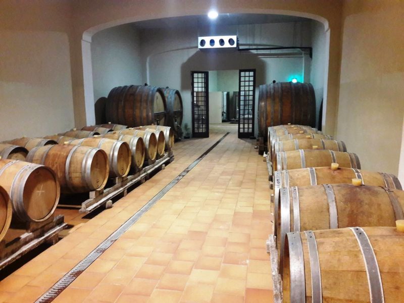 maria rosa wine estate malta wine tour visita cantina