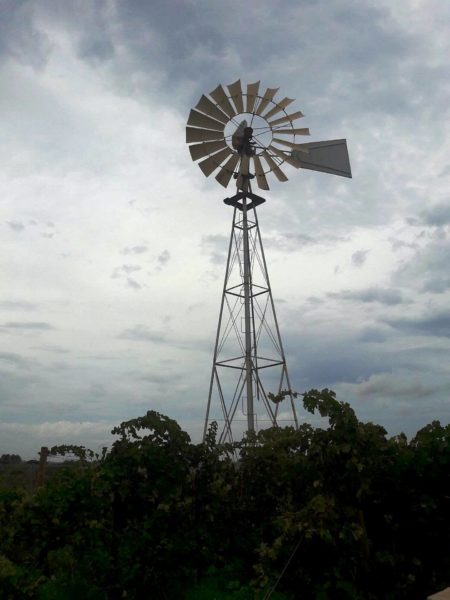 maria rosa wine estate malta