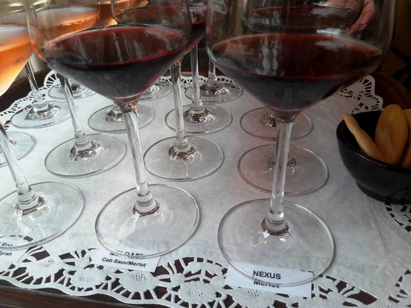 meridiana tasting vini malta wine antinori