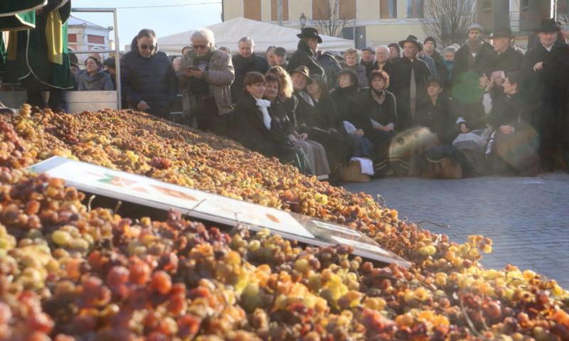 torcolato cerimonia