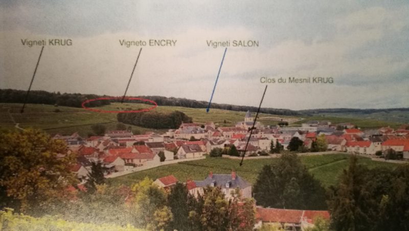 champagne encry enrico baldin degustazione onav 5