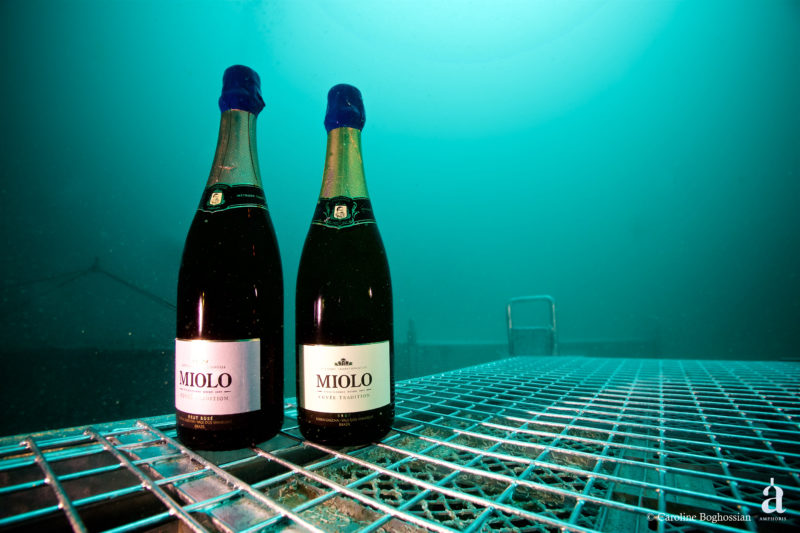 miolo cuvee tradition sparkling wine under sea 9