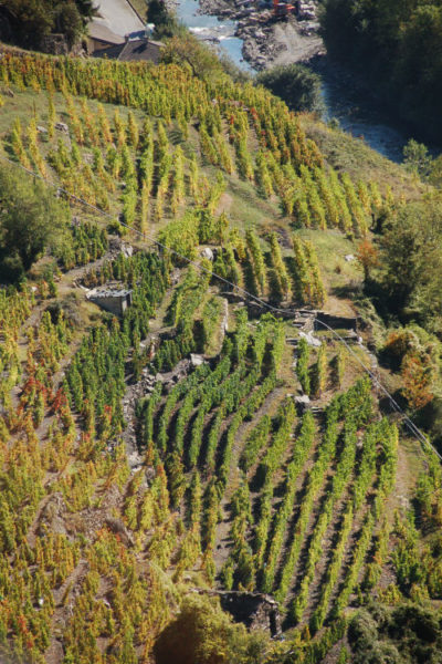 strada dei vigneti alpini eroici italia francia viticoltura