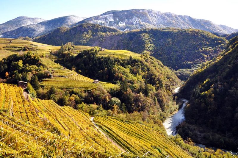 vigne trentino trento panorama