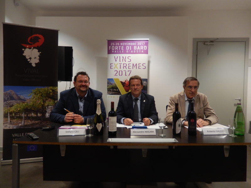 vins extreme 2017 forte di bard viticoltura eroica 4