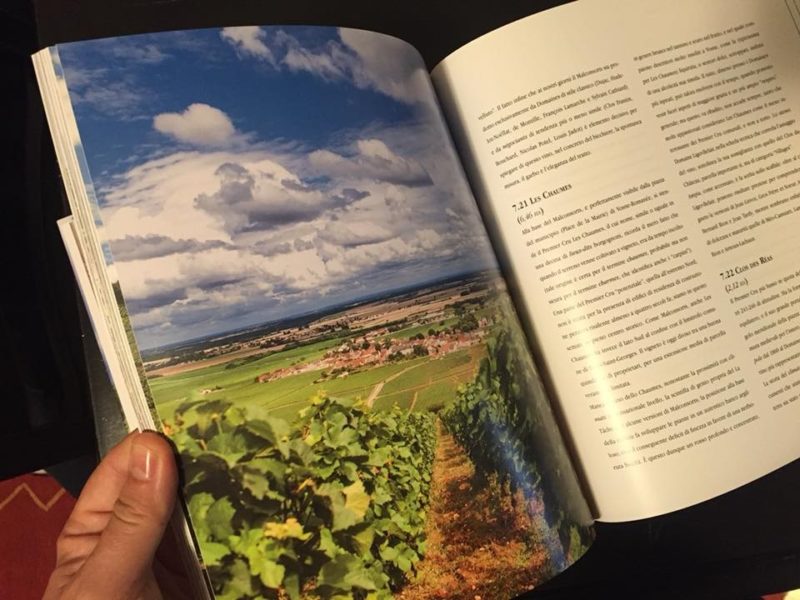 Borgogna Le vigne della Cote dOr il libro di Armando Castagno 3 1