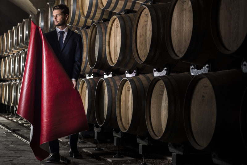 Se il vino va di moda Vegea e il nuovo filato da vite 3