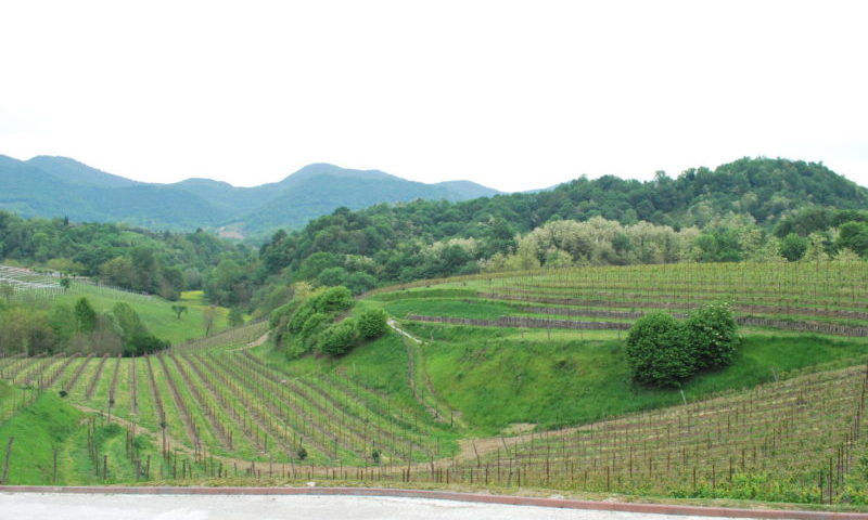 prosecco asolo montello