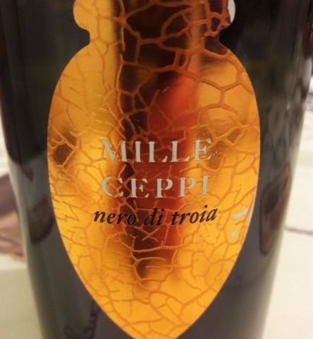 Puglia Igt 2014 Mille Vigne di Michele Biancardi e1515353085389 1