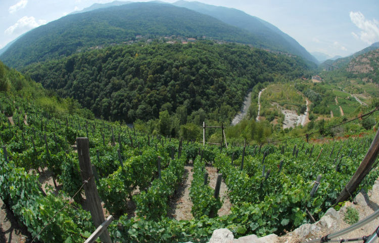 Strada dei vigneti alpini italia francia 3