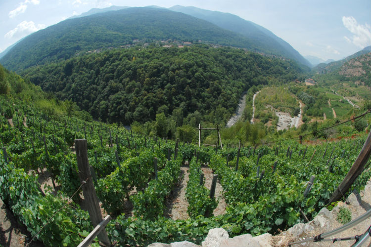 Strada dei vigneti alpini italia francia 3