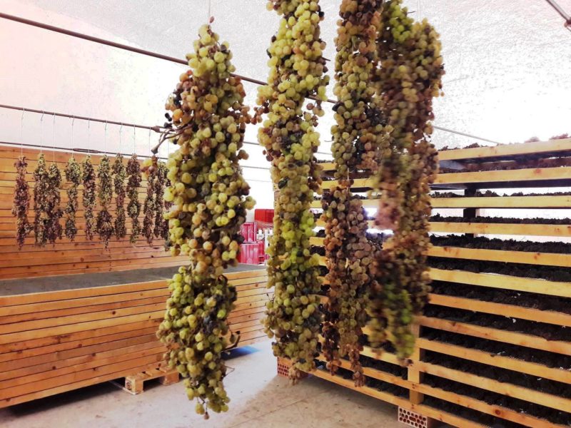 Torcolato Breganze Doc passito ca biasi 1