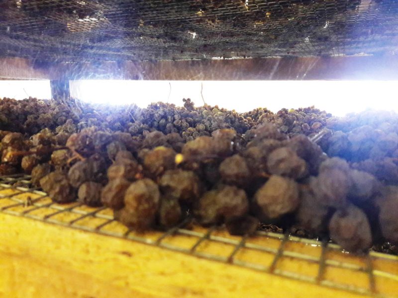 Torcolato Breganze Doc passito ca biasi 2