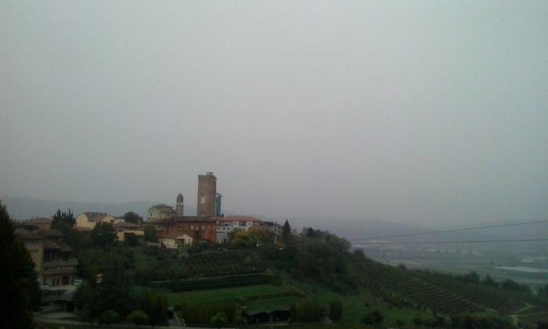 vigneti langhe vino nebbiolo gastronomia 5