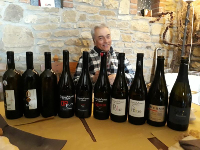Professione Eno Artigiano Stefano Milanesi e il suo Oltrepo pavese 1