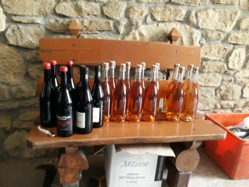 Professione Eno Artigiano Stefano Milanesi e il suo Oltrepo pavese 7