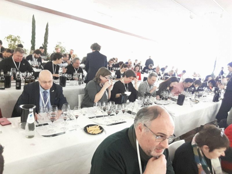 amarone della valpolicella anteprima sala stampa 2014