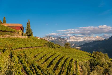 cantina di bolzano 2