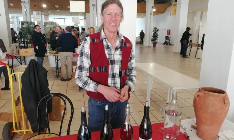 Sauvignon Blanc 2014 Garnellen Anphora Tropfltalhof vinifera 1