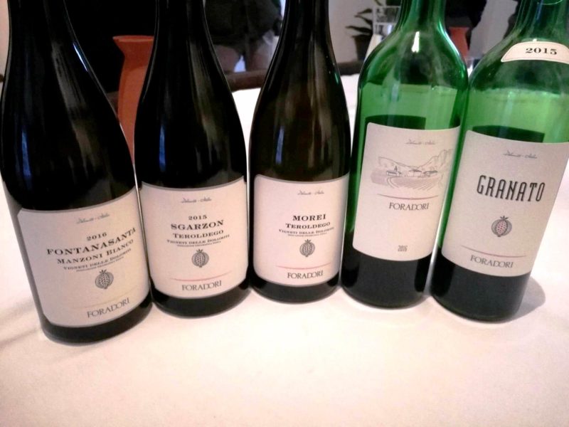elisabetta foradori vini mezzolombardo trento cantina