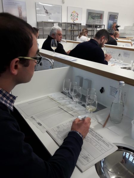 2 concorso vini territorio  2018 3