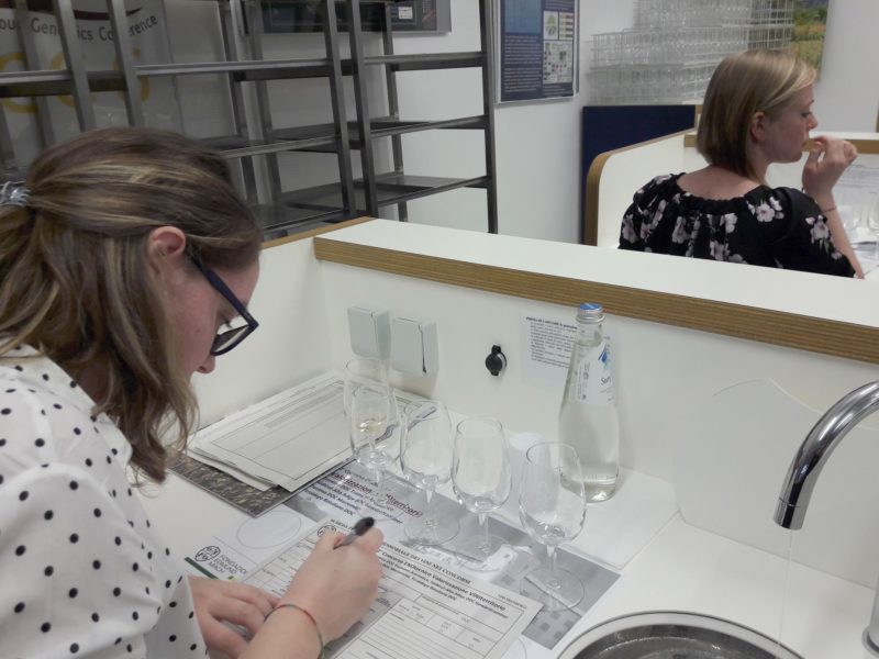 2 concorso vini territorio  2018 6