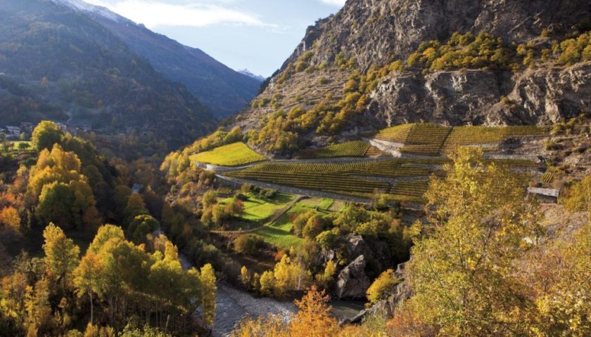 vigne valle daosta 1024x683