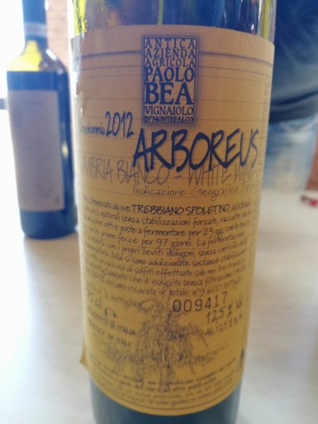 viniveri 2018 cerea migliori assaggi vini naturali 10