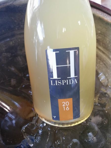 viniveri 2018 cerea migliori assaggi vini naturali 22
