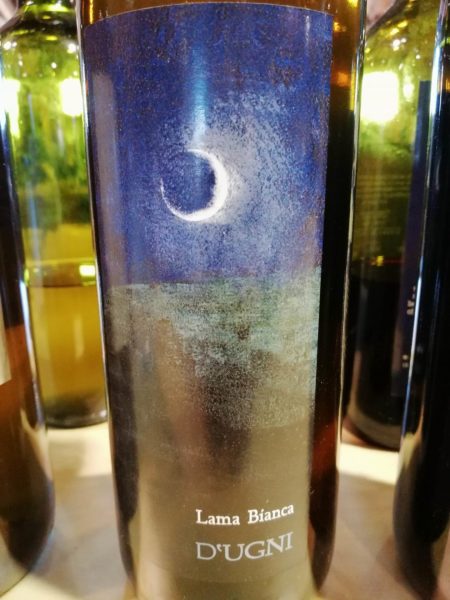 viniveri 2018 cerea migliori assaggi vini naturali 24