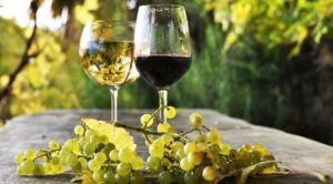 vino italiano da record 300x166