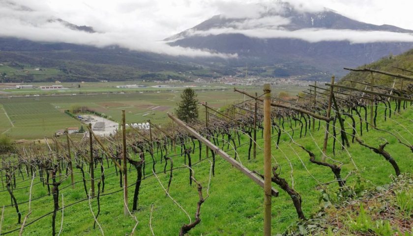 viticoltura eroica cervim a vinitaly 2018 1024x768
