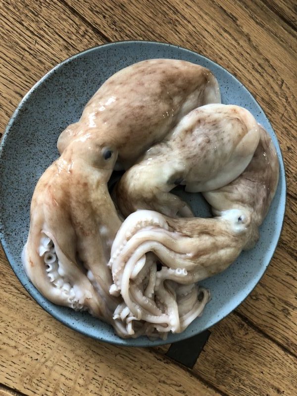 Moscardini in umido 3 rotated