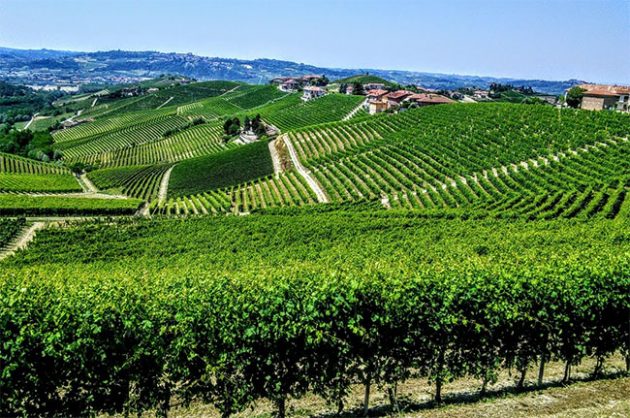 jefford barbaresco Rabja 630x418