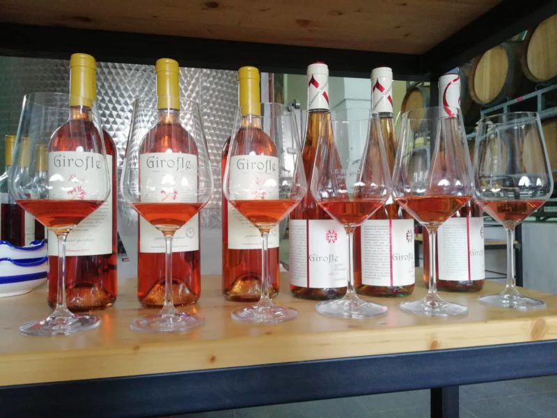 Girofle di Garofano alias il rosato brizzolato verticale memorabile a Radici del Sud 1