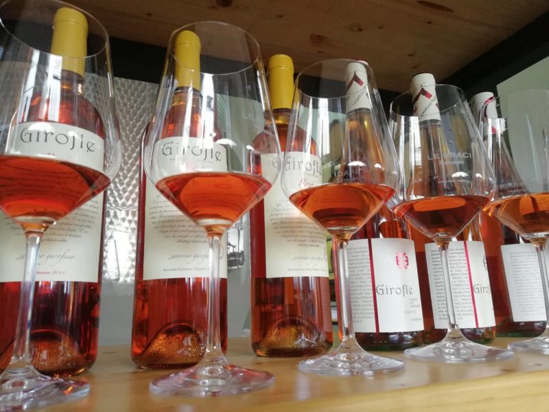 Girofle di Garofano alias il rosato brizzolato verticale memorabile a Radici del Sud 3