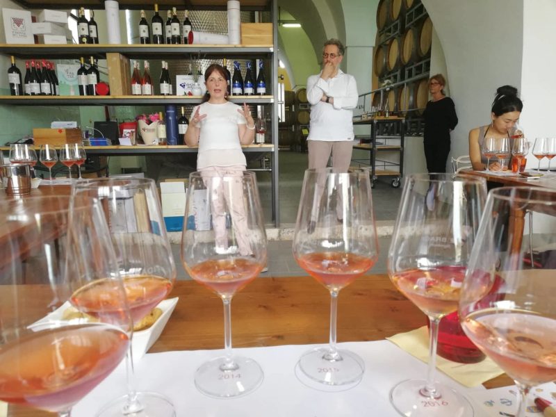 Girofle di Garofano alias il rosato brizzolato verticale memorabile a Radici del Sud 4