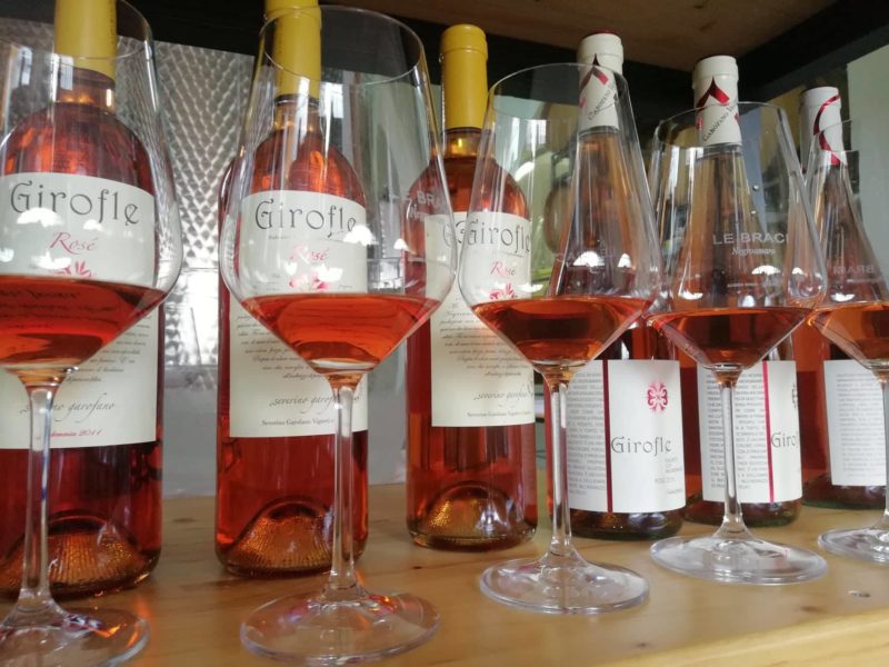 Girofle di Garofano alias il rosato brizzolato verticale memorabile a Radici del Sud 6