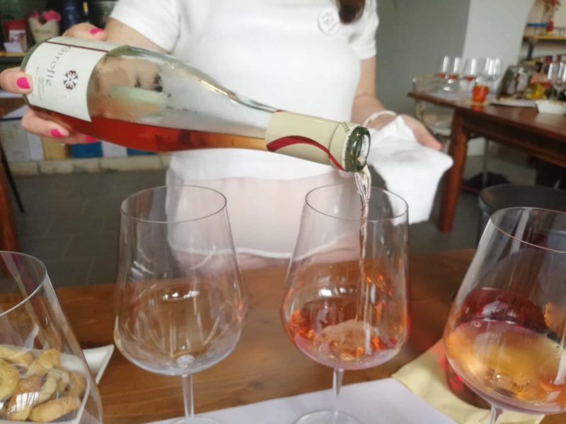 Girofle di Garofano alias il rosato brizzolato verticale memorabile a Radici del Sud 7 1