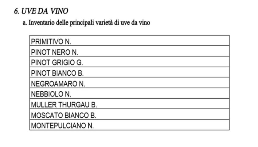 Igt del vino italiano che confusione sarà perché ti bevi amo 1024x570