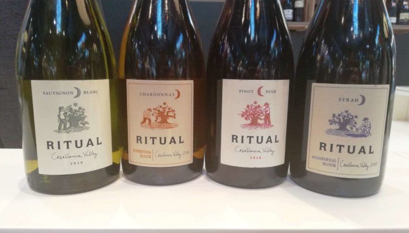 I vini cileni biodinamici di Rodrigo Soto Ritual Primus e Neyen Estate 1 1024x768 1