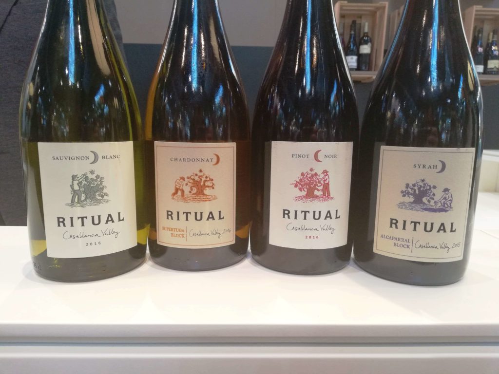 I vini cileni biodinamici di Rodrigo Soto Ritual Primus e Neyen Estate 1 1024x768 1