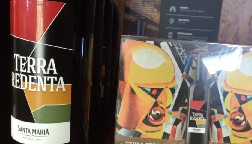 Visita alla Cantina Santa Maria di Latina una promessa per i vini laziali 3 1024x768