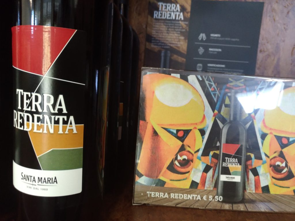 Visita alla Cantina Santa Maria di Latina una promessa per i vini laziali 3 1024x768