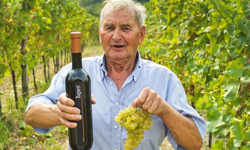 Klet Brda bagueri vino sloveno