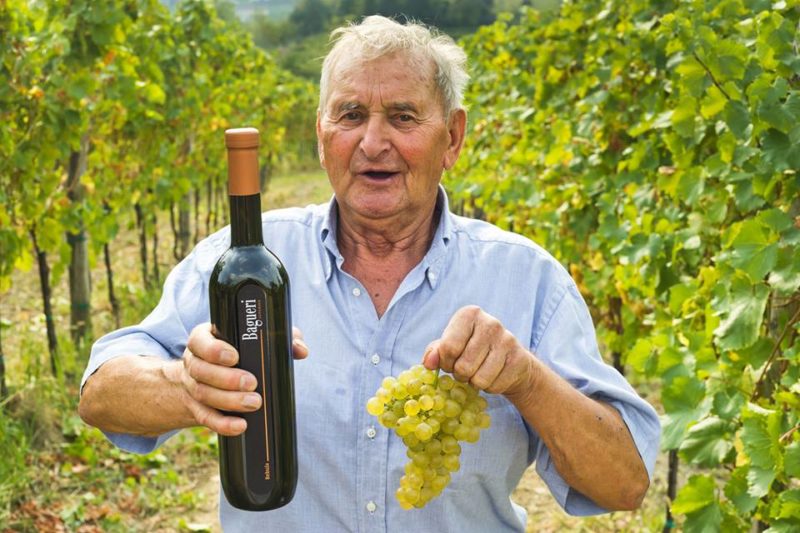 Klet Brda bagueri vino sloveno