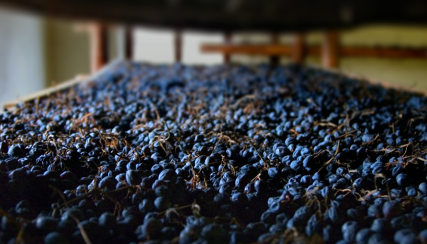 amarone percentuale uve consorzio vini valpolicella 1024x491 1